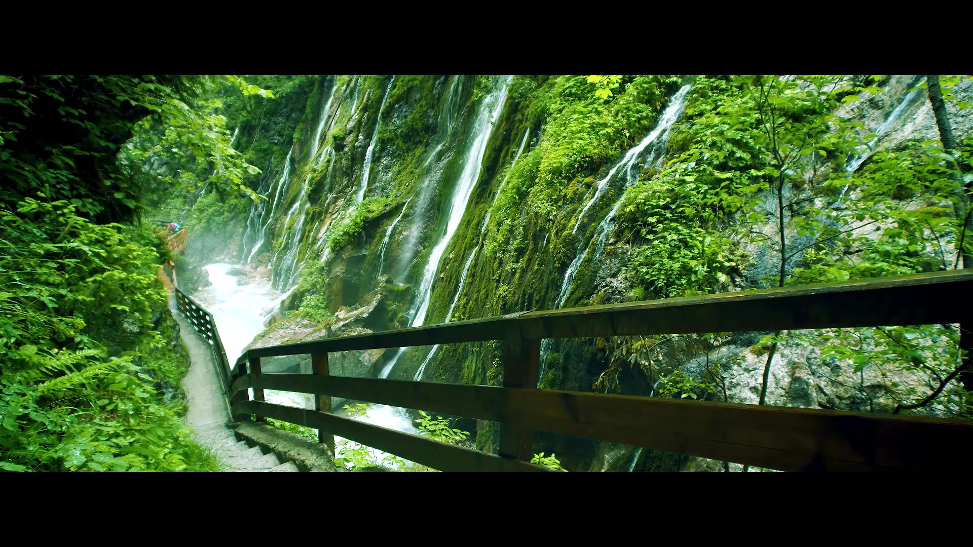 Transient Digital Art Loop