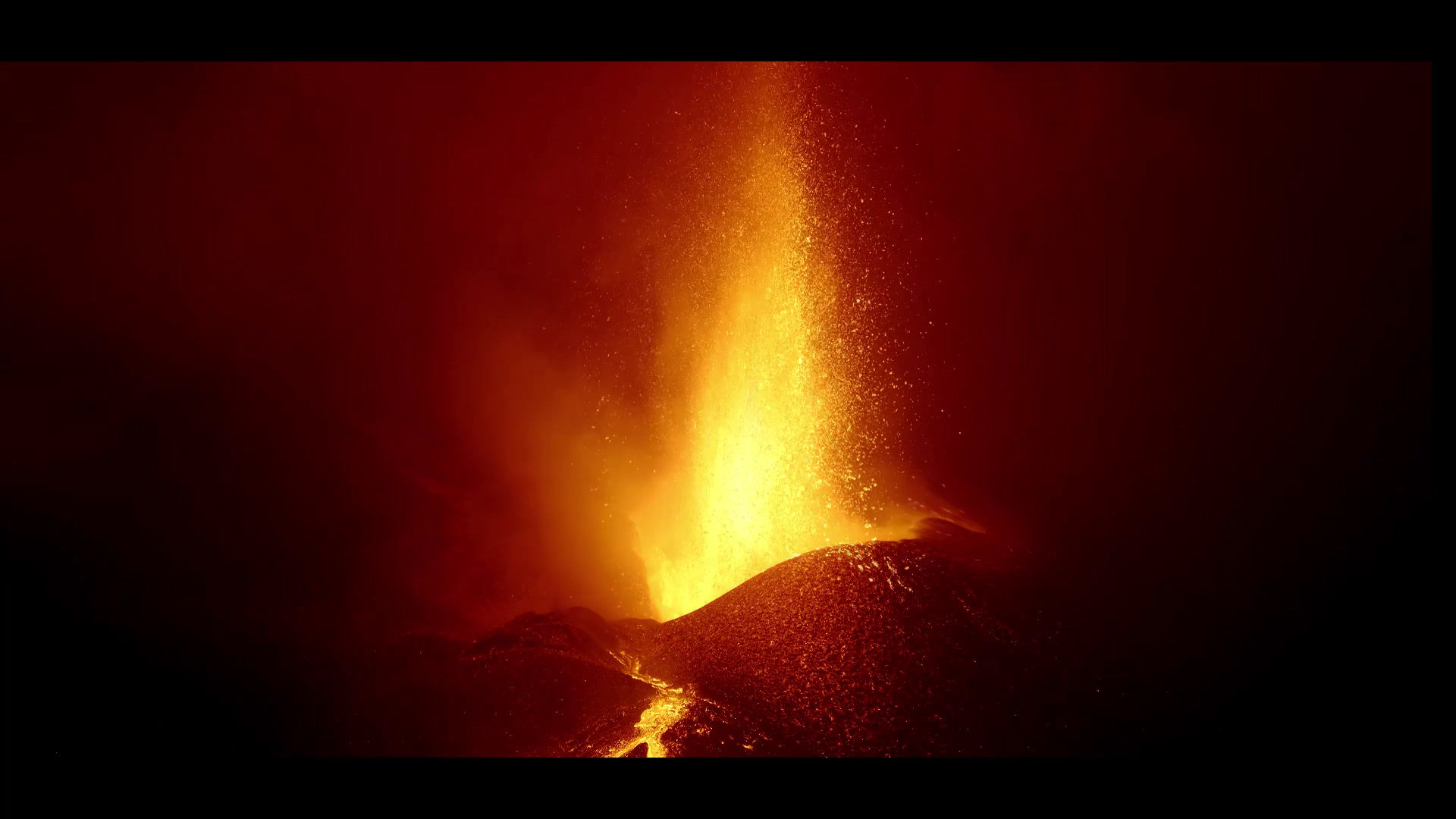 Greed Digital Art Loop