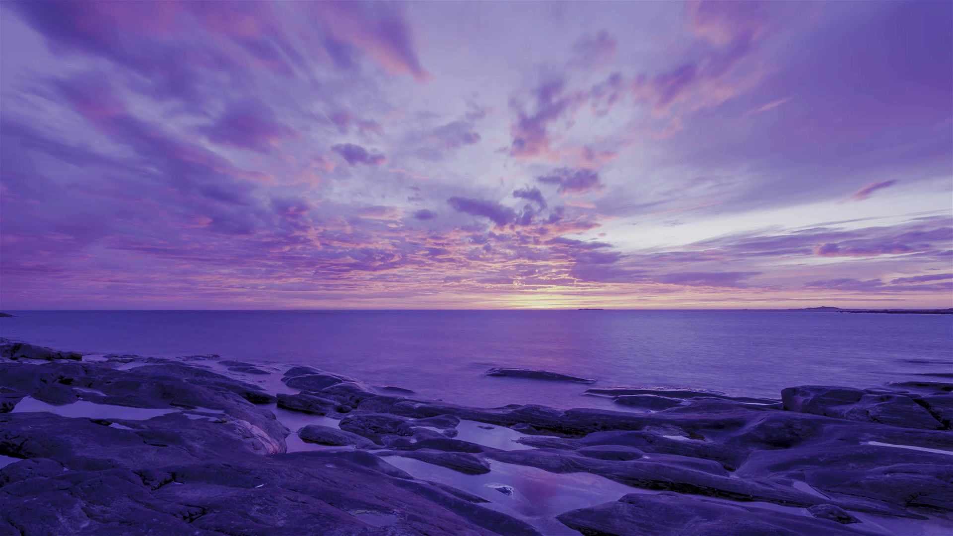 Transient Digital Art Loop