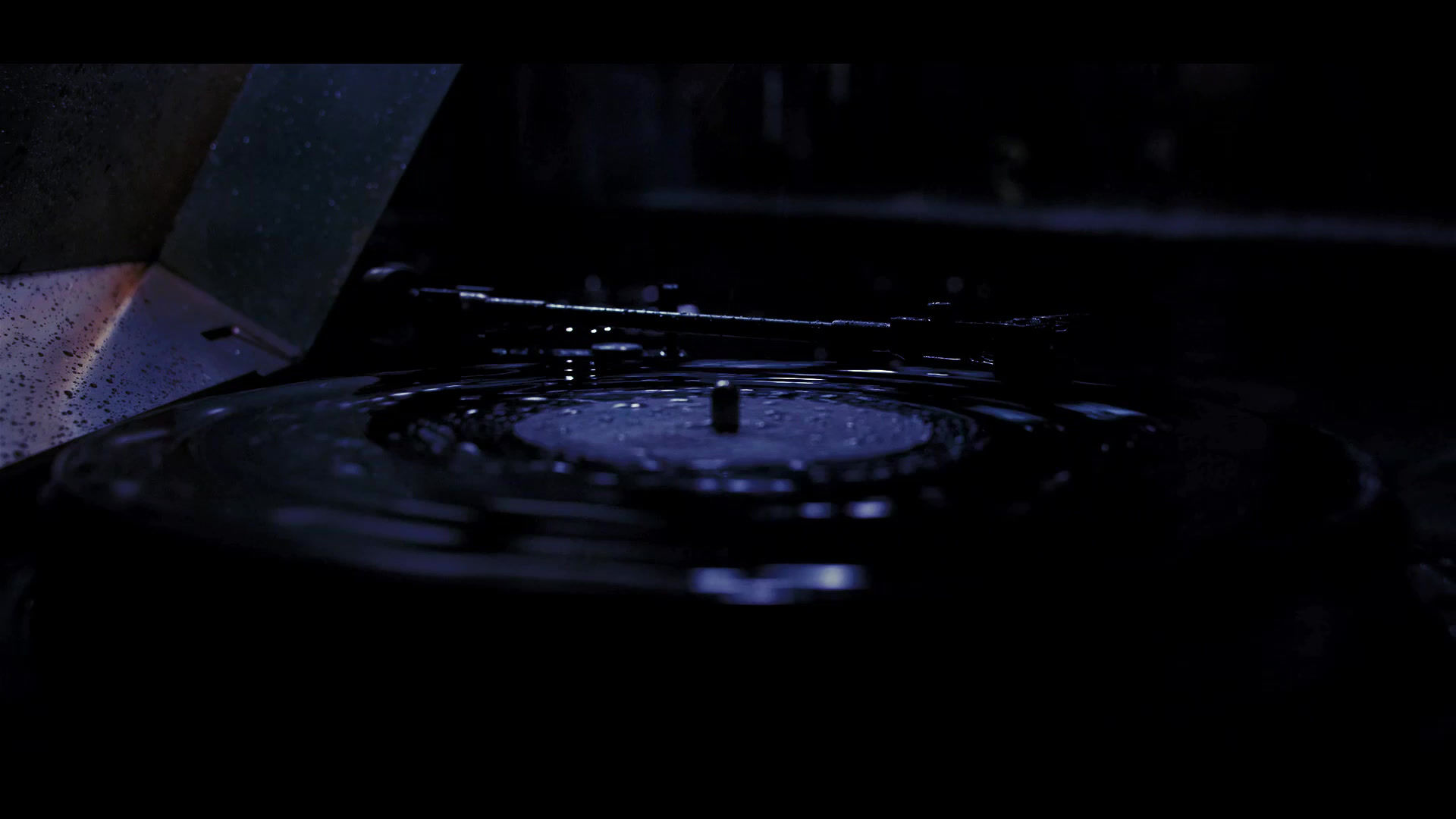 See Digital Art Loop