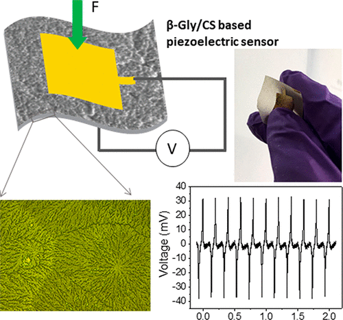 Glycine–Chitosan-Based Flexible Biodegradable Piezoelectric Pressure Sensor