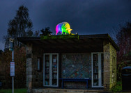 illuminated-sheep.jpeg