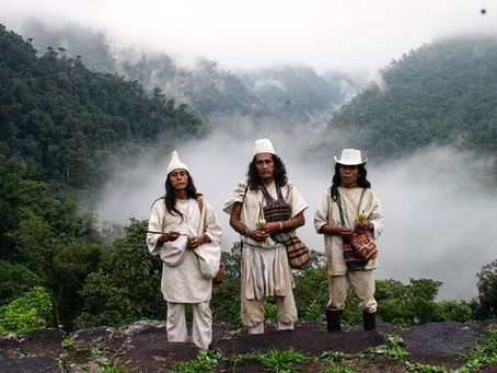 The Wiwa Foundation: Committed to the colombian indigenous culture