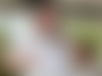 Exalcalde de Cartagena "Manolo"Duque ahora  vinculado a irregularidades en programa de ali