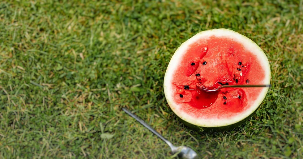 Watermelon_eProcurement for buyers explainer video.jpeg