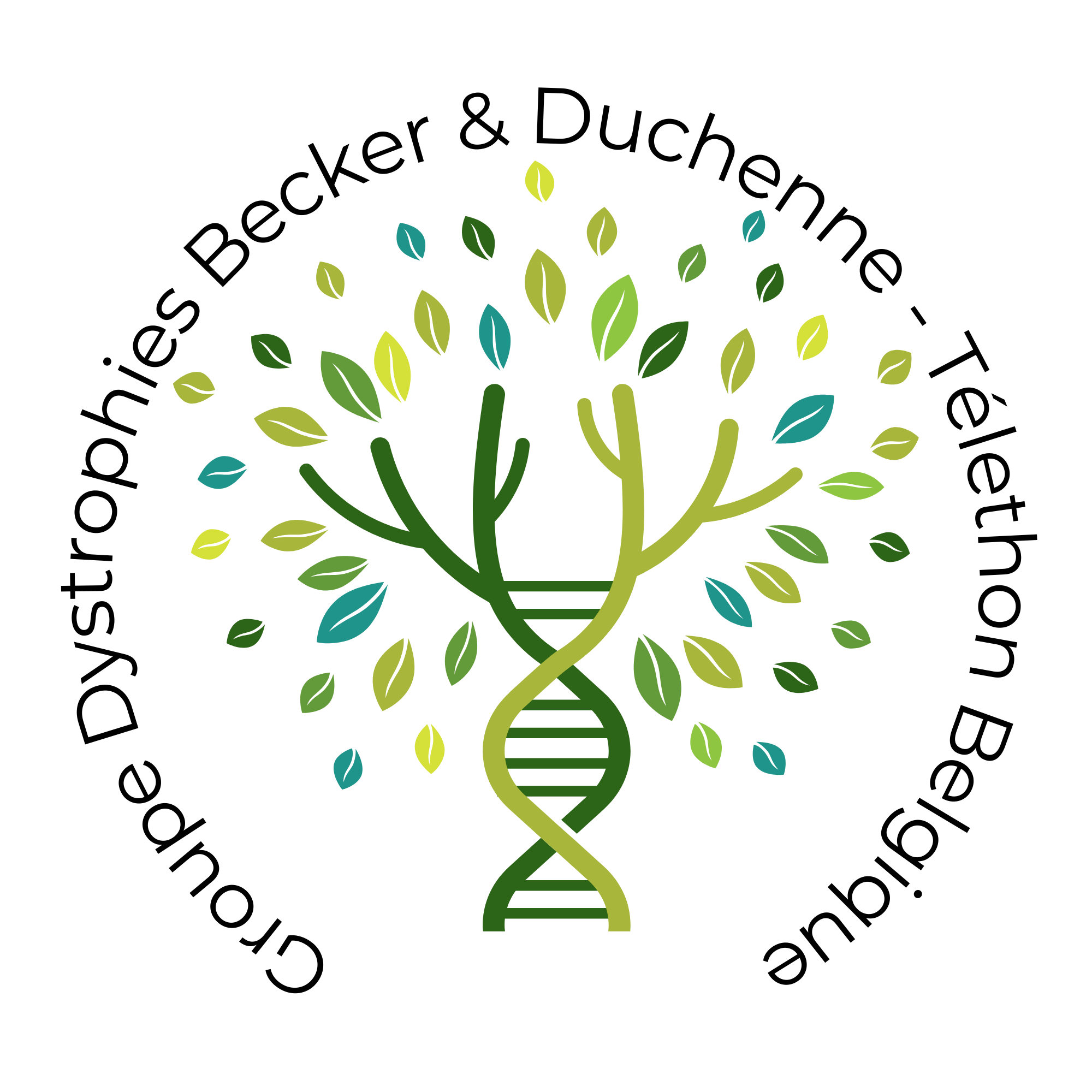 Photo du rédacteur: Webmaster Becker-Duchenne