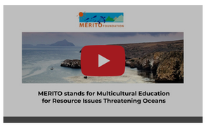 Solutions for Youth & Ocean Health - New Video