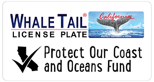 Whale Tail License Plate Protect our Ocean and Oceans Fund logo