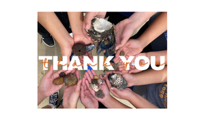 Thanksgiving 2024 Newsletter