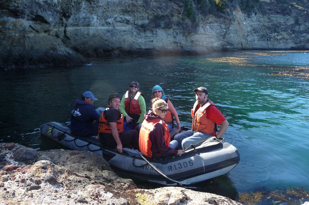 Check out our new updated webpage