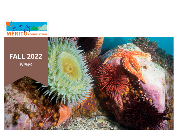 Fall 2022 Newsletter