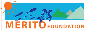 MERITO Foundation rectanle logo
