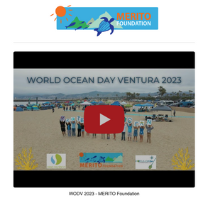 2023 World Ocean Month!