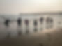 IMG-8445.jpg