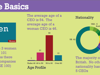 FTSE 100 CEO's career paths in 2013