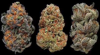 marijuana-promo_wide-93824361cf99403ff2c6c3c670c8cfedb9a2471d.jpg