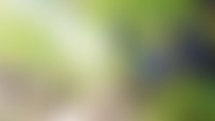 Plan The Ultimate Wine Country Getaway With Private Air Charter