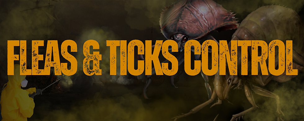 Fleas & ticks Control