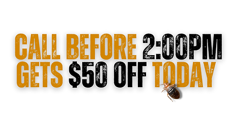 Pest Control. Pest Exterminator. Pest Company. Pest Treatment. Pest Control in New Jersey. Pest Control in New York.