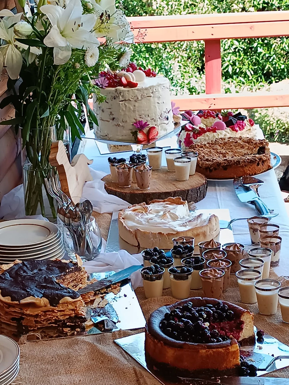 WhatsApp Image 2024-01-25 at 12.39.49 PM