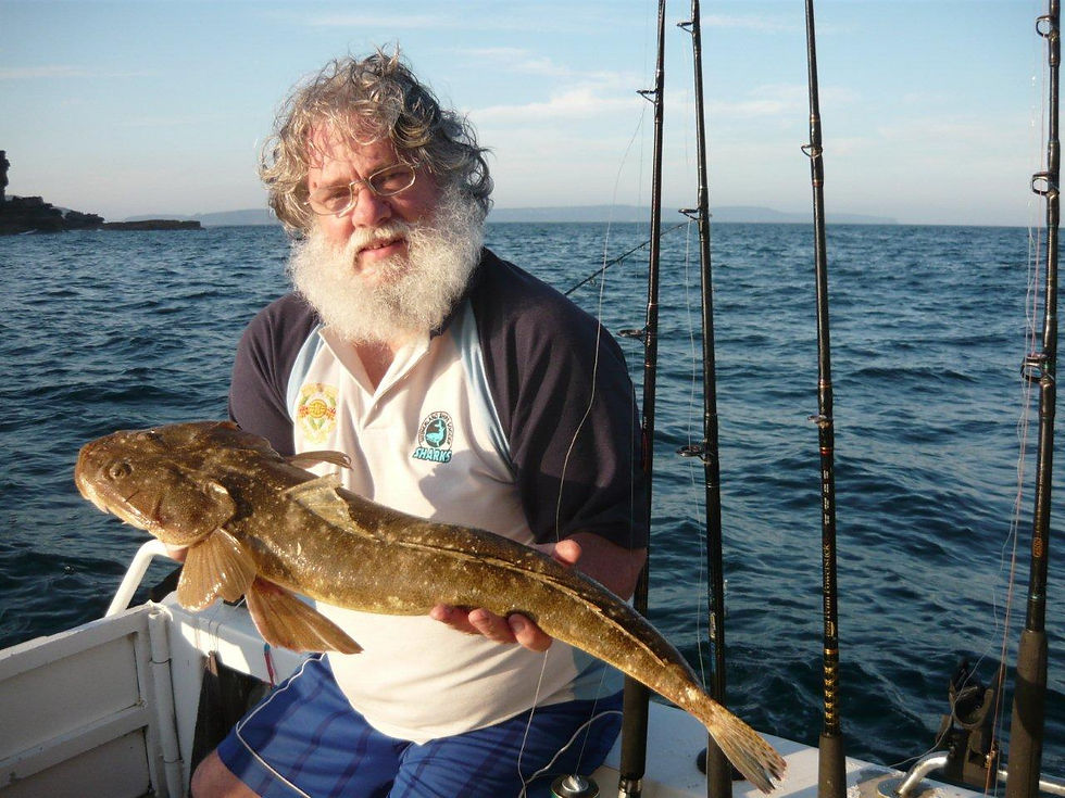 2011 Oct Comp (2).jpg