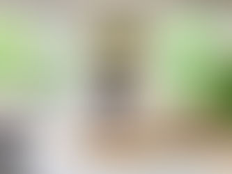 Why an Insulated Garden Office with Electrics Beats the Dining Table Desk