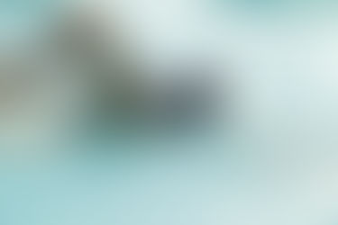 Backyard Swim Spa vs. Pool: Which One is Best