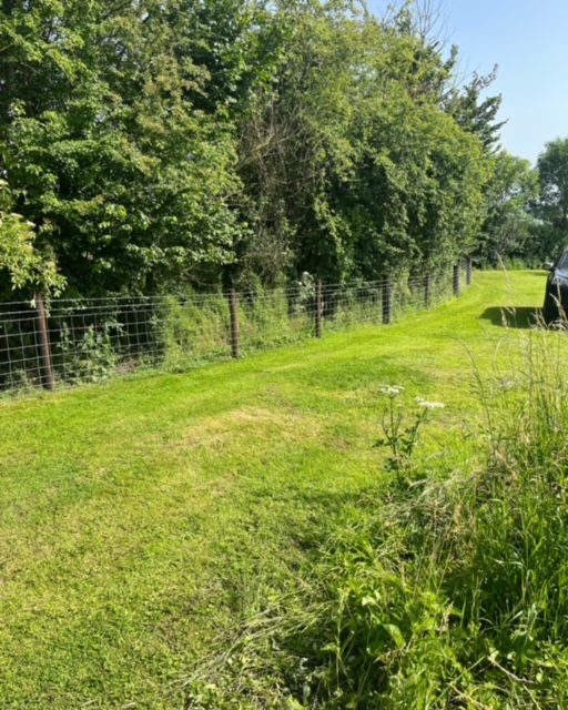 Stock fencing