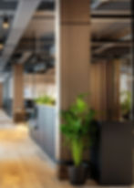commercial office space remodel modern