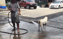 wash-clean.gif