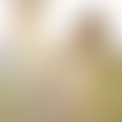 精緻婚紗 宛玲&小黑