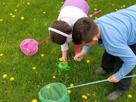 Bugs get to work!