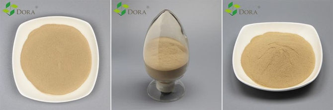Use bacillus subtilis as organic biofertilizer
