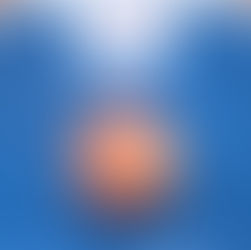 Maintain Don't Gain During the Holidays