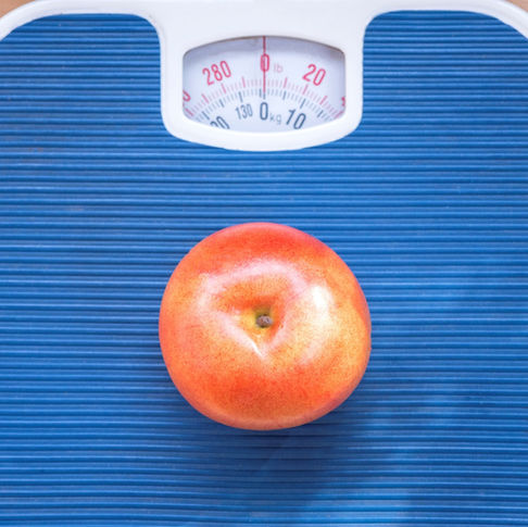 Maintain Don't Gain During the Holidays