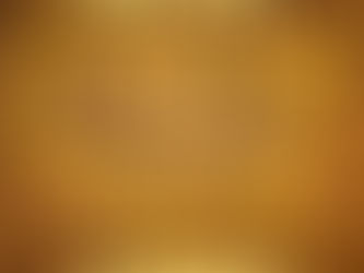 "NOT MY AMERICA" Par Opcritical