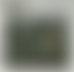 "AUDIO BICYCLE DAY" Par Ari Joshua