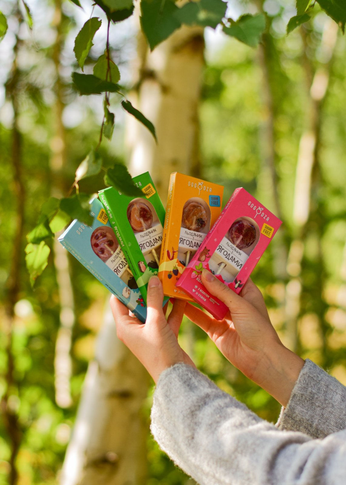 Sugar-free lollipops with dried berries