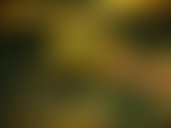 MLD FOUNDER SEASON II