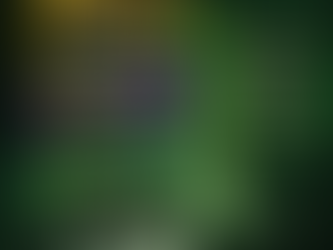 Erklärung der Ligastruktur