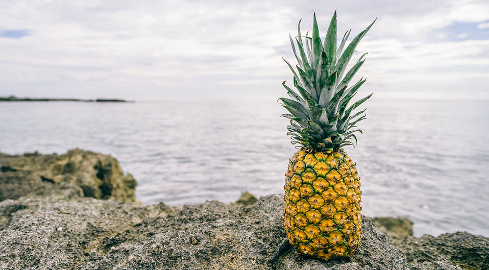 Pineapple by the Sea