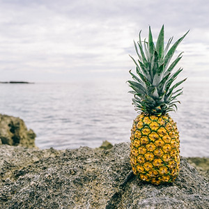 Pineapple by the Sea