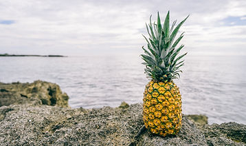 Pineapple by the Sea