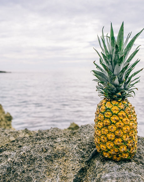 Pineapple by the Sea