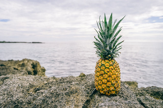 Pineapple On Rocks