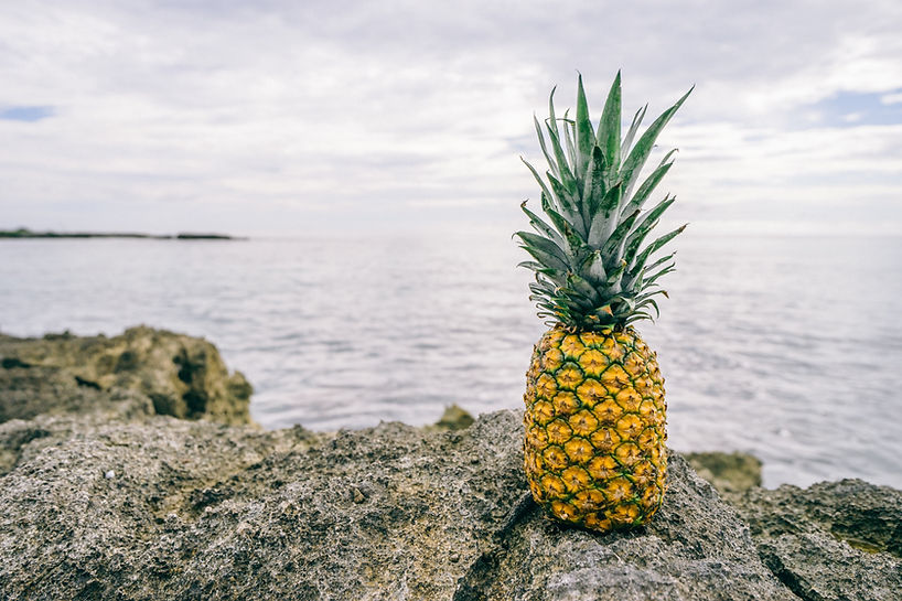Pineapple by the Sea