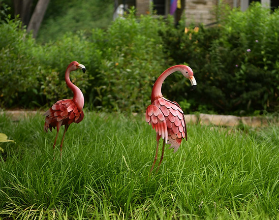 DSC_4296.jpg