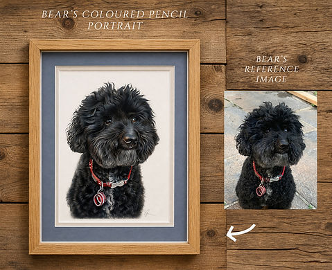 Bear Framed with Reference titled.jpg