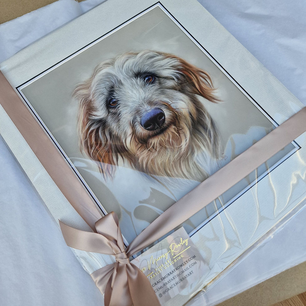 Thumbnail: Coloured Pet Portrait