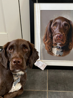 Grace Murray-Rowley Spaniel Drawing